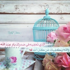 هل اشتقت للرسول - الشيخ صالح المغامسي