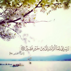اخلص العمل لله الشيخ صالح المغامسي