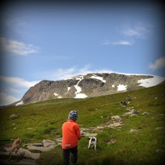 Vidder (Out On The Fells)
