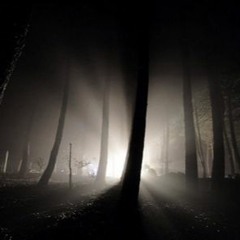 ToK - Light Into Darkness