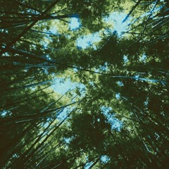 Twerk It (prod. Saenz x Alpha rho)