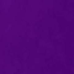 I Wanna Be Your Lover -Riff -