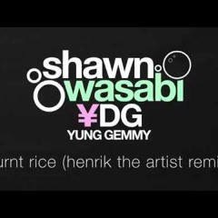 Shawn Wasabi - BURNT RICE (Henrik The Artist Remix) (bass Boosted)