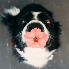 Ryan Little - Soul High