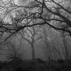 ENter The DARkroom - Manifestation, Swyft Jynx, & Mitchiphrenic
