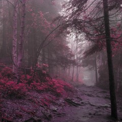 Knowings Half The Battle