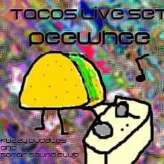 Fuzzy Puddles & Sonar Sound Club - Tacos Live Set