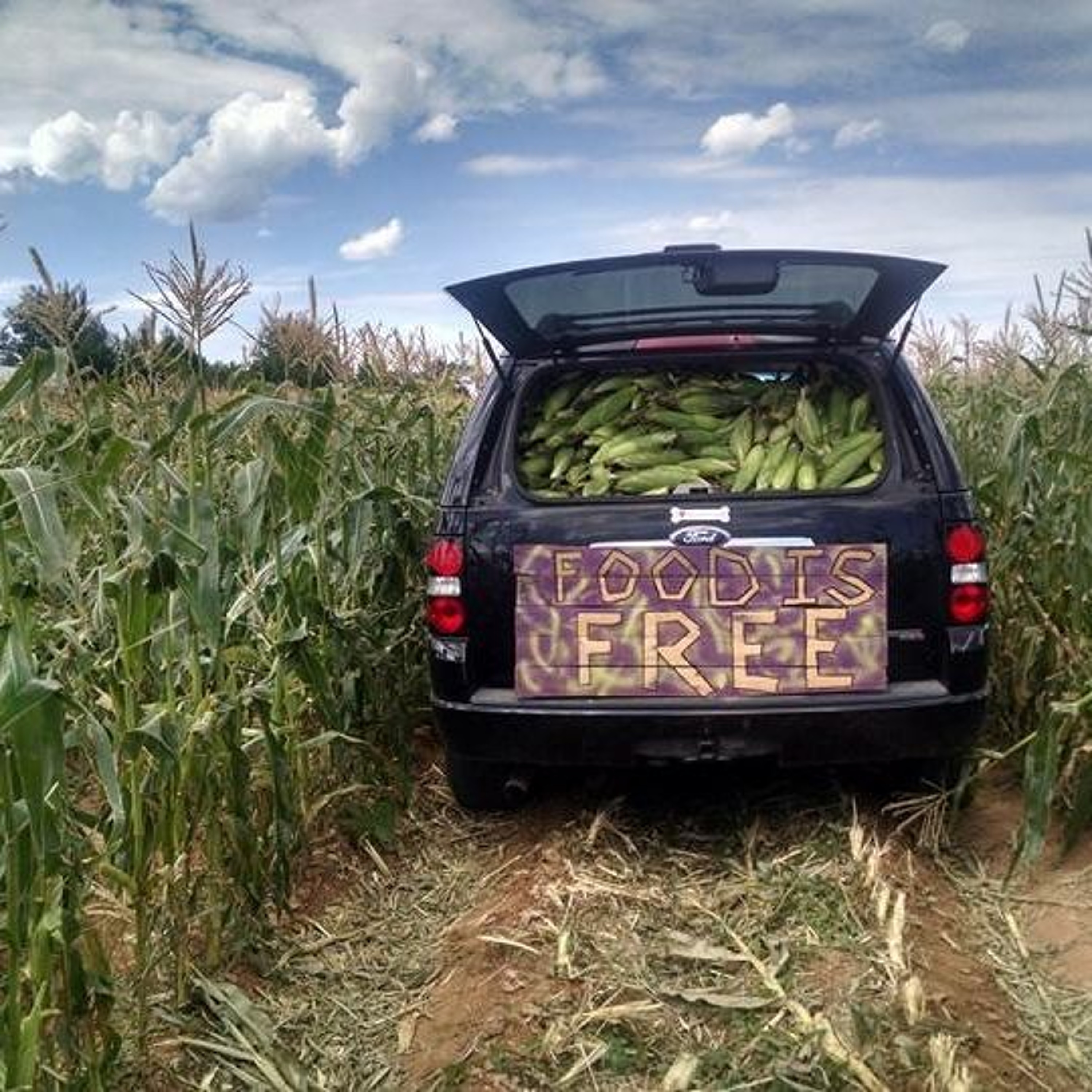 Seed Story Broadcasts