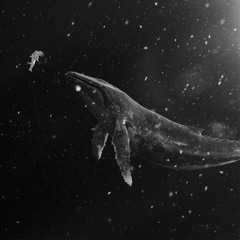 Fantasia