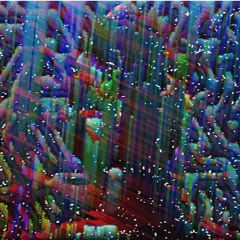 Impertinent Cockatoo's Big Speech