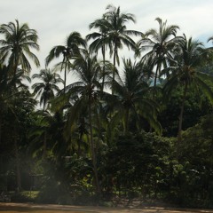 Study / Chill 2.0 (Tropical House)