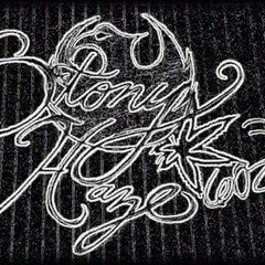 Strange Twist - Stony Haze