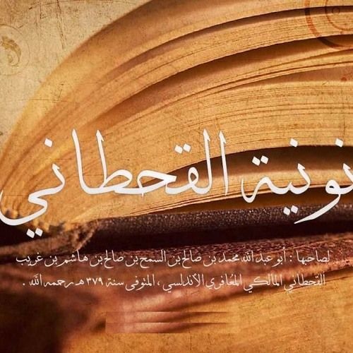 نونية القحطانى بصوت محمد عويد الرشيدي