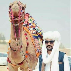Nazeefin Zehri ee