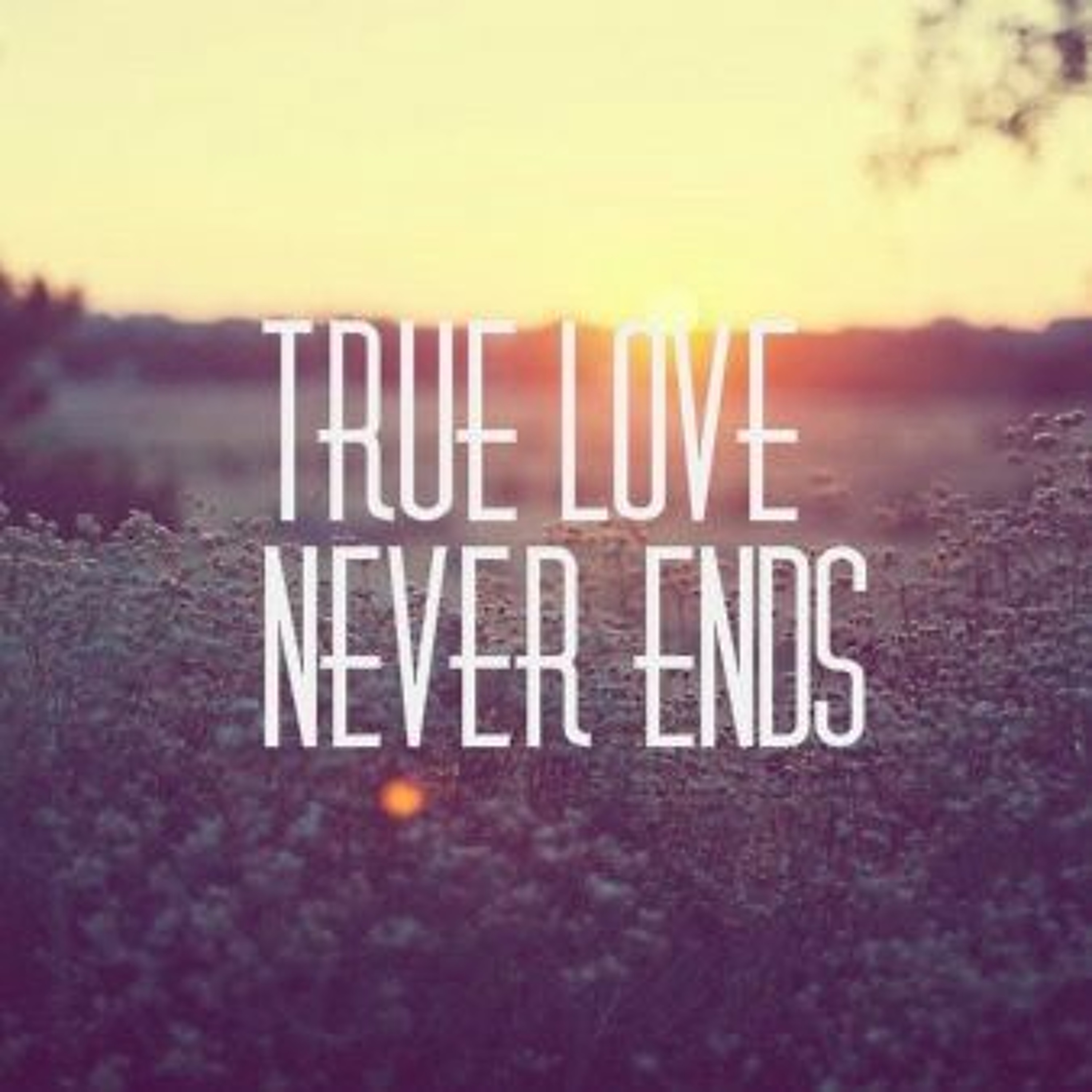 True Lover episode artwork