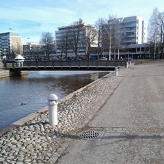 Petri Kuljuntausta - Life Aquatic