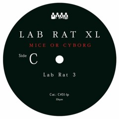 Lab Rat XL - Lab Rat 3
