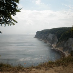 Wild Things (acoustic)