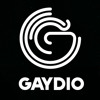 Gaydio - Selena Gomez on Instagram