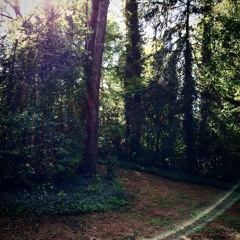 cliquetones (MM0425)