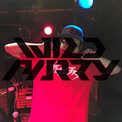 2016 04 22 DJ WILDPARTY Open Set Kyoto Metro