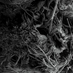 youANDme - "Daemon" | STUDIO R° 004