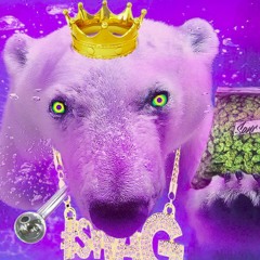 Eisbär