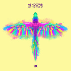 Ashdown - Perk Up