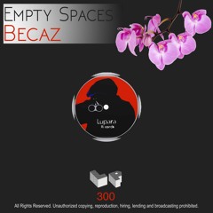 Empty Spaces (Original Mix)