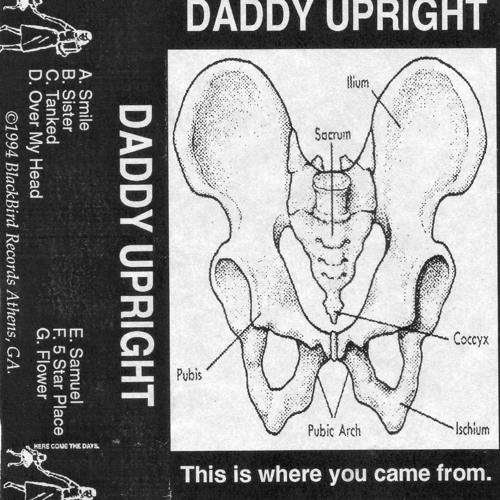 Stream Daddy Upright | Listen to Daddy Upright-This Is Where You Came From playlist online for free on SoundCloud