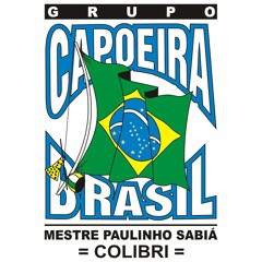 Capoeira Brasil Chicago - 2016 Batizado - Night Roda Day 2 - Part II