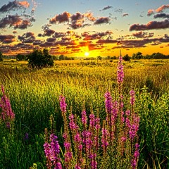 Transa - Timeless(Chill Music) Relaxing and Dreaming..