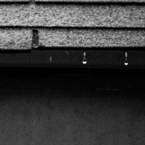 Can You Stand The Rain : New Edition (C&S)
