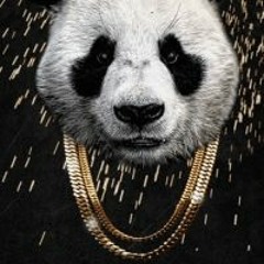Stokes - Panther (Remix)