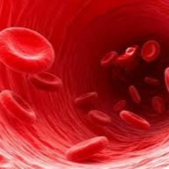 In MY Blood Lp