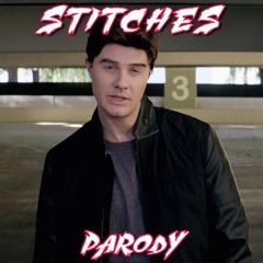 Shawn Mendes - "Stitches" PARODY