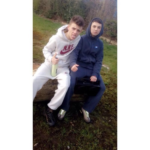 MDIB F.A.P 2016 (connor fosterr)