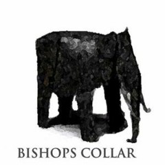 Bishops Collar - Poor Man's Paradise
