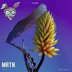 FLume - Say It (MRTN Remix)[Cut] [FREE D/L]