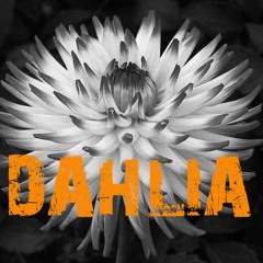 TURN THE PAGES - DAHLIA