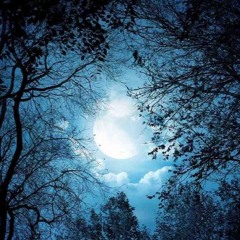 Groovin' Mid - Night