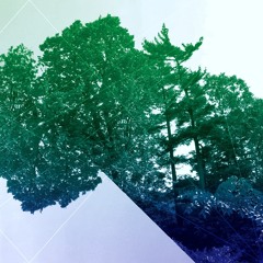 An Unknown Future