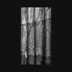 Trevor Linde - Werrwqyuit