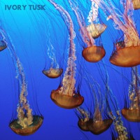 Ivory Tusk - Where Are You Running Now?