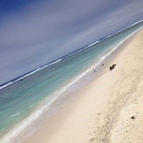 Tonton Syrax Alan Walker -  Faded (Version Tane Prod) 2ol6