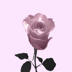 EBHONI - XANESSY