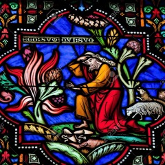 Crystal Mines In The Mountian Minds Mixtape