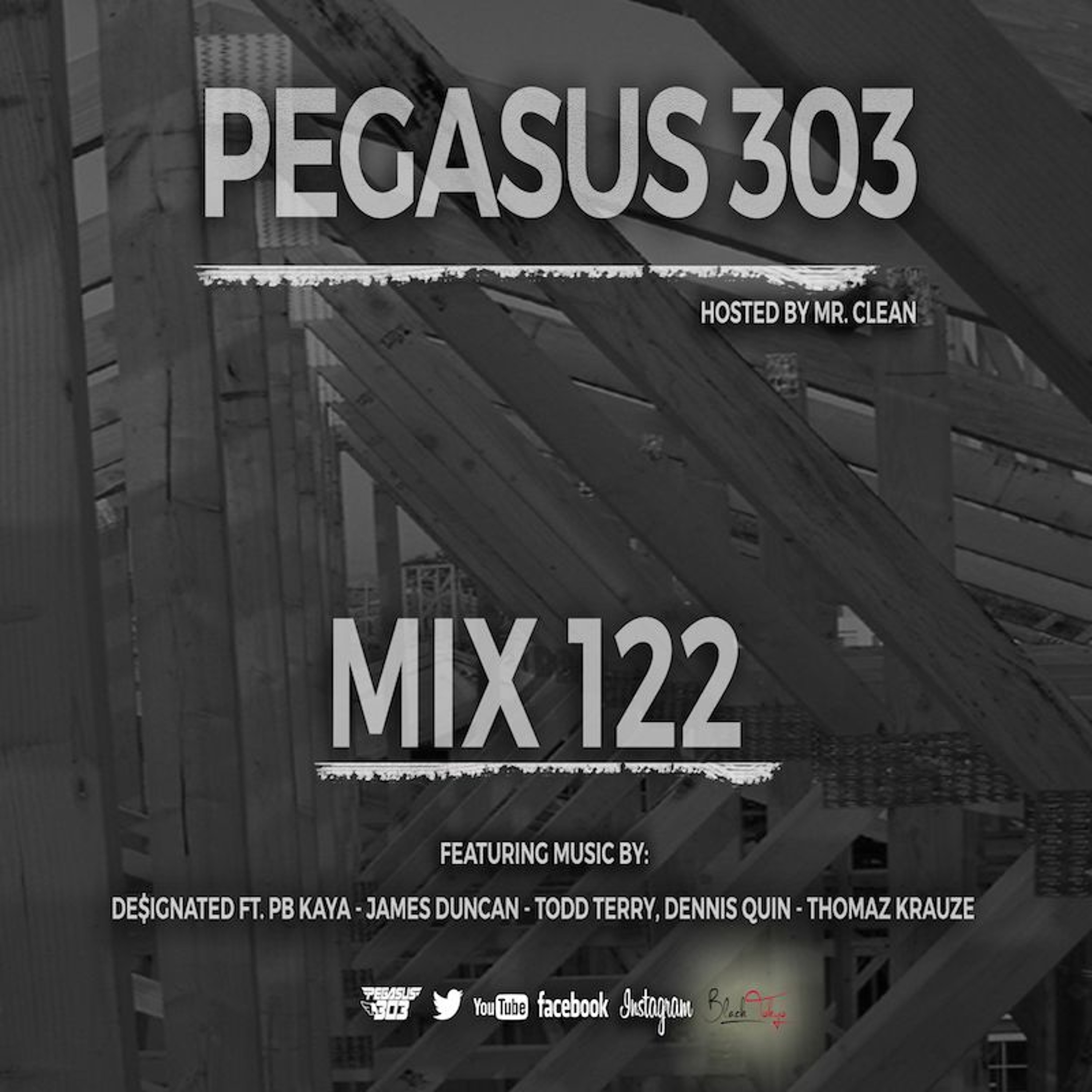 Pegasus 303 Mix