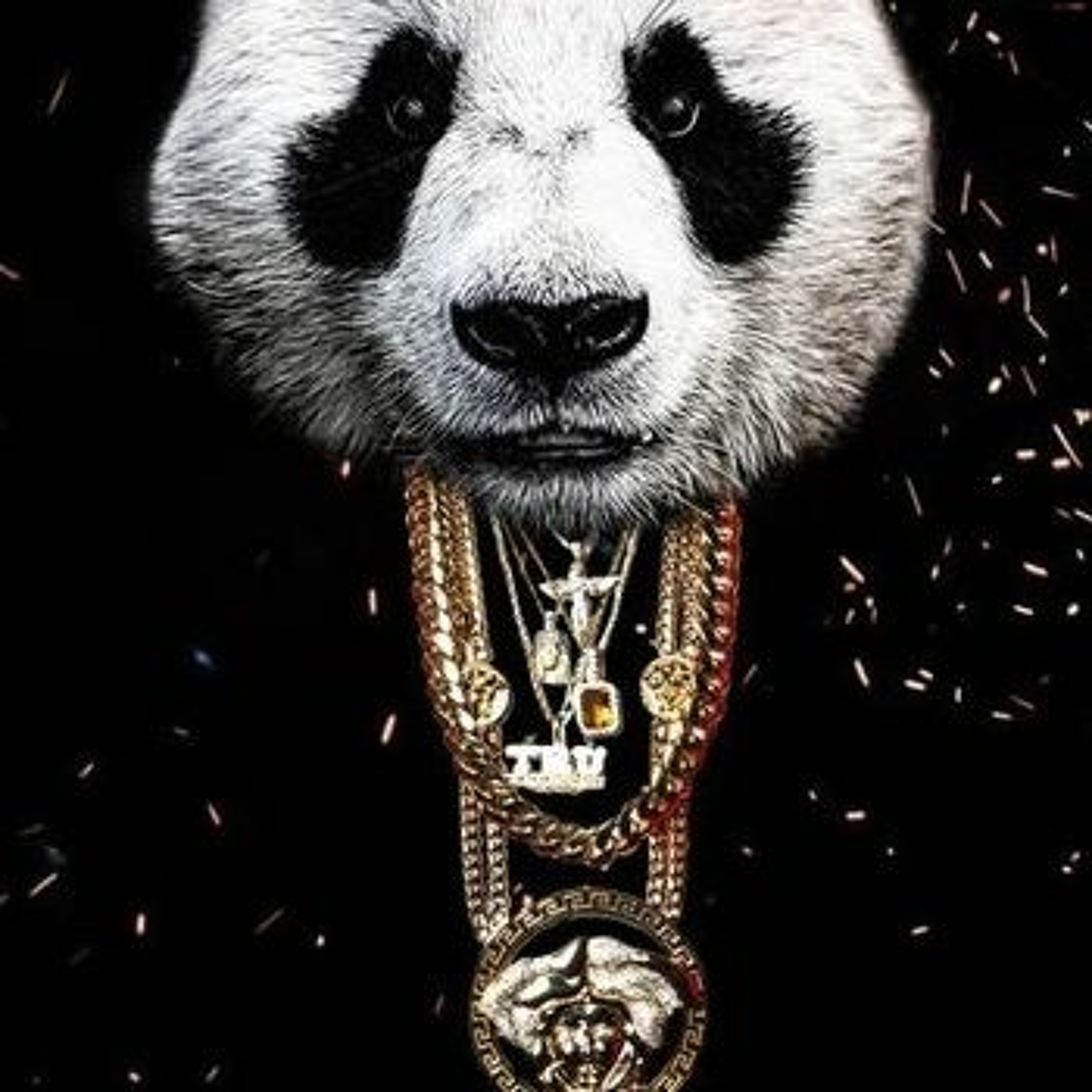 Panda Freestyle episode artwork