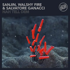 Sanjin, Walshy Fire & Salvatore Ganacci - Nah Tell Dem